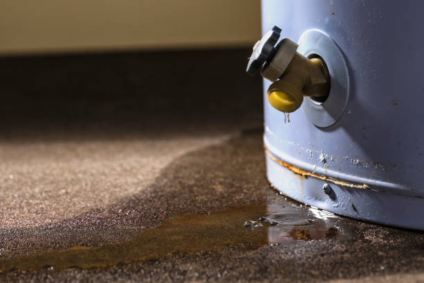 Best 24-hour water damage restoration  in Morris, IL