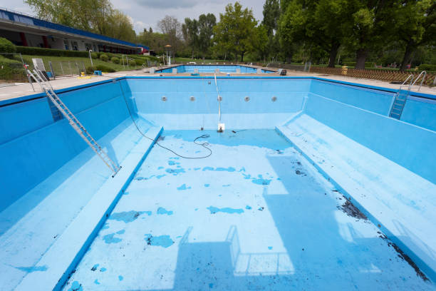 Best Ceiling water damage repair  in Morris, IL