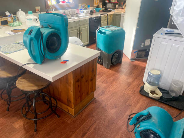 Best Water damage restoration process  in Morris, IL