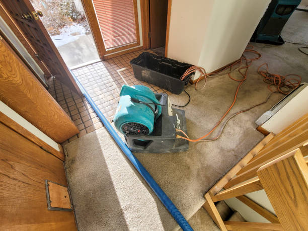 Best Water damage mitigation services  in Morris, IL