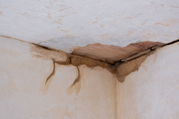 Best Flooded house restoration  in Morris, IL
