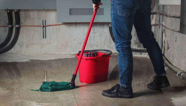 Best Commercial water damage restoration  in Morris, IL