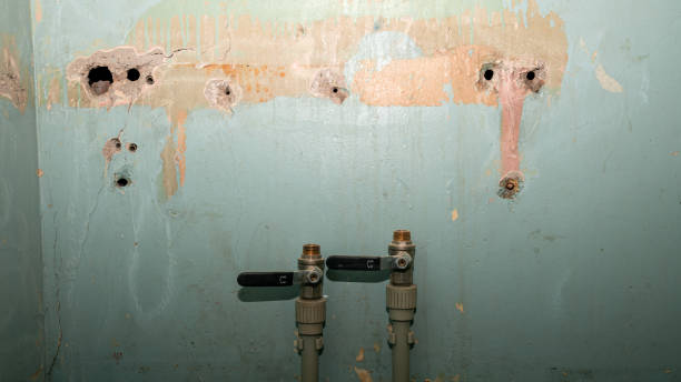 Best Water damage contractors near me  in Morris, IL