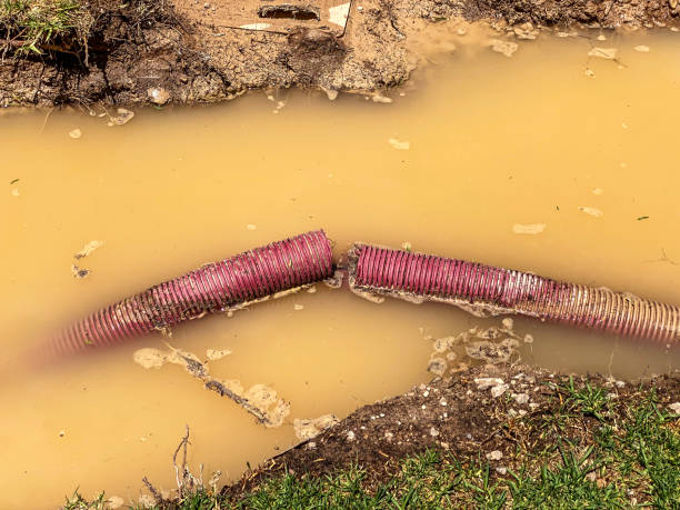 Morris, IL Water damage restoration Company