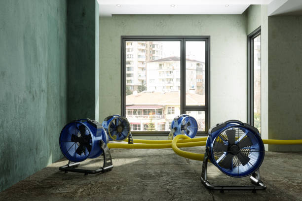 Water damage restoration insurance claims in Morris, IL